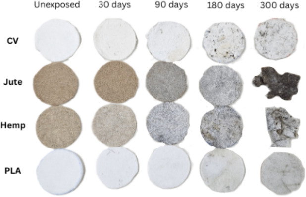 PMC11978975 – Fig2