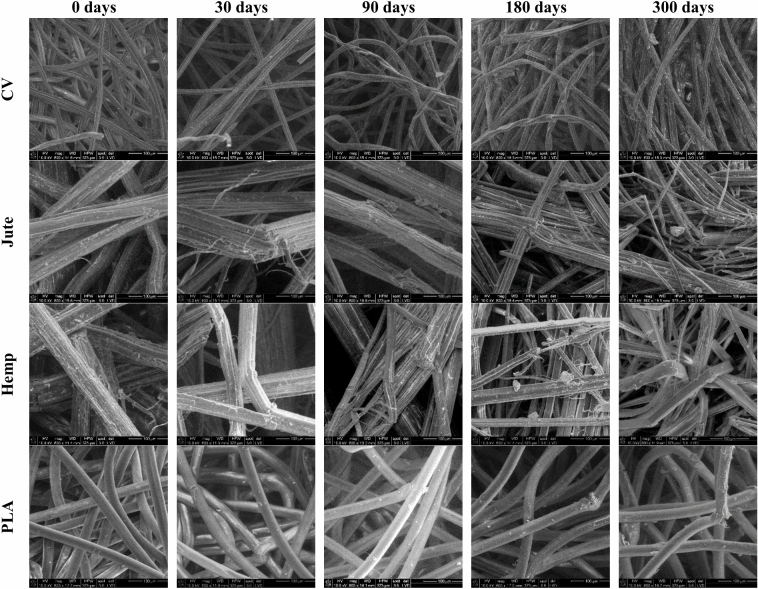 PMC11978975 – Fig3