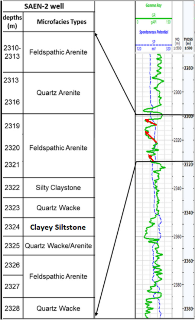 PMC12059077 – Fig5