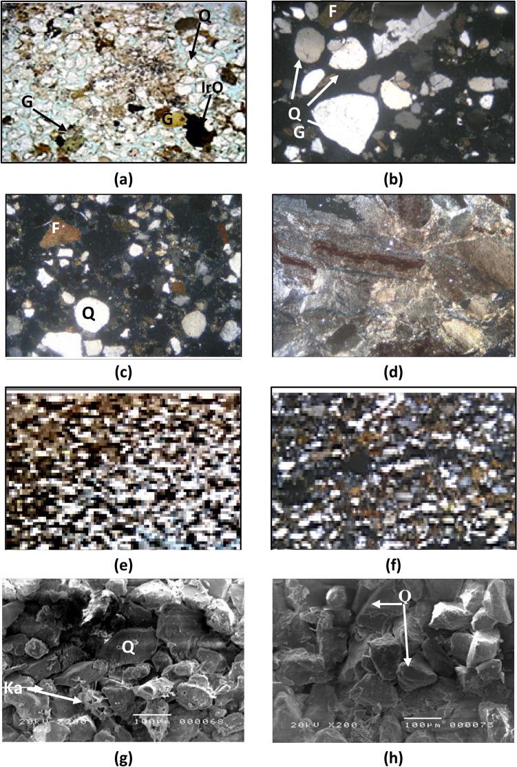 PMC12059077 – Fig6