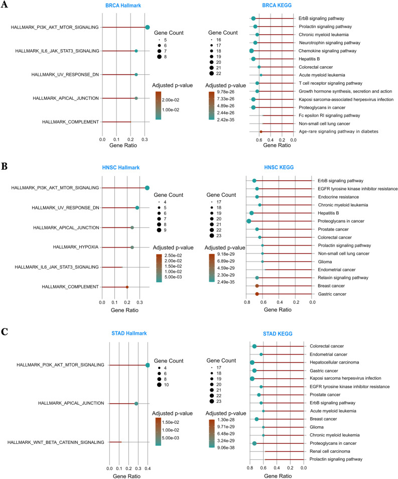 PMC12881423 – Fig8