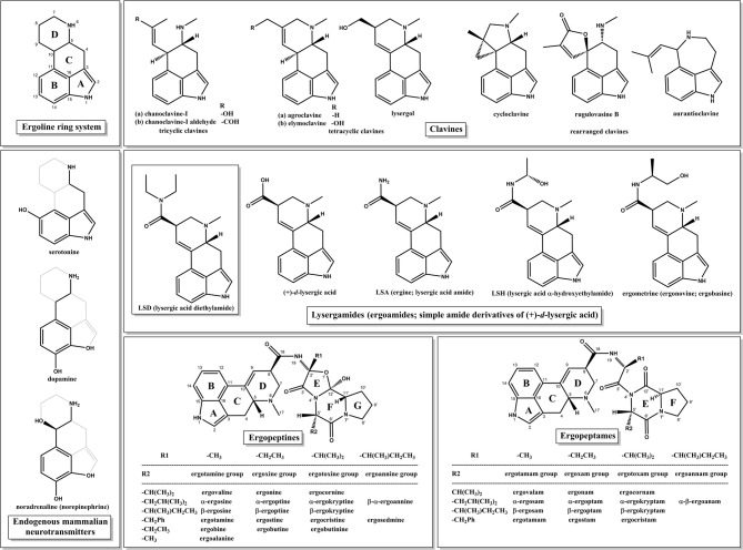PMC12982482 – Fig1