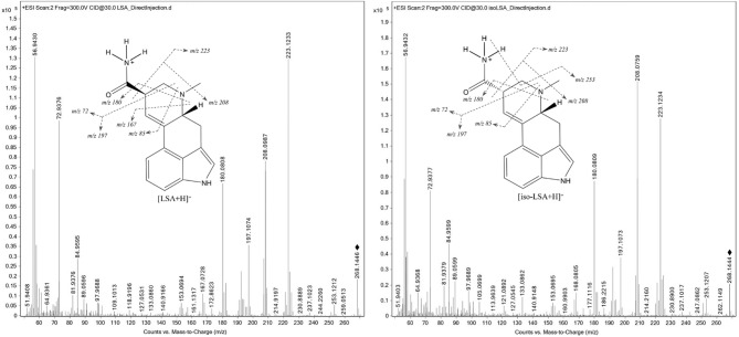 PMC12982482 – Fig3