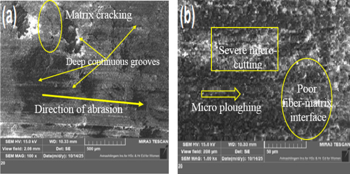 PMC13096532 – Fig13