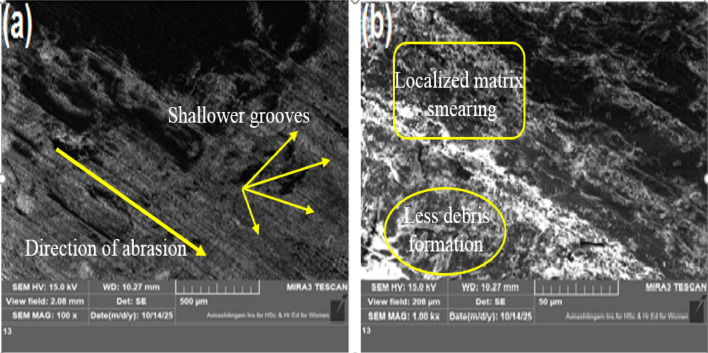 PMC13096532 – Fig14