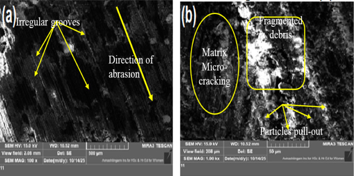 PMC13096532 – Fig15