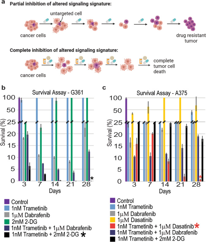 PMC8192524 – Fig7