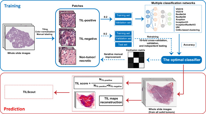 PMC11923303 – Fig1