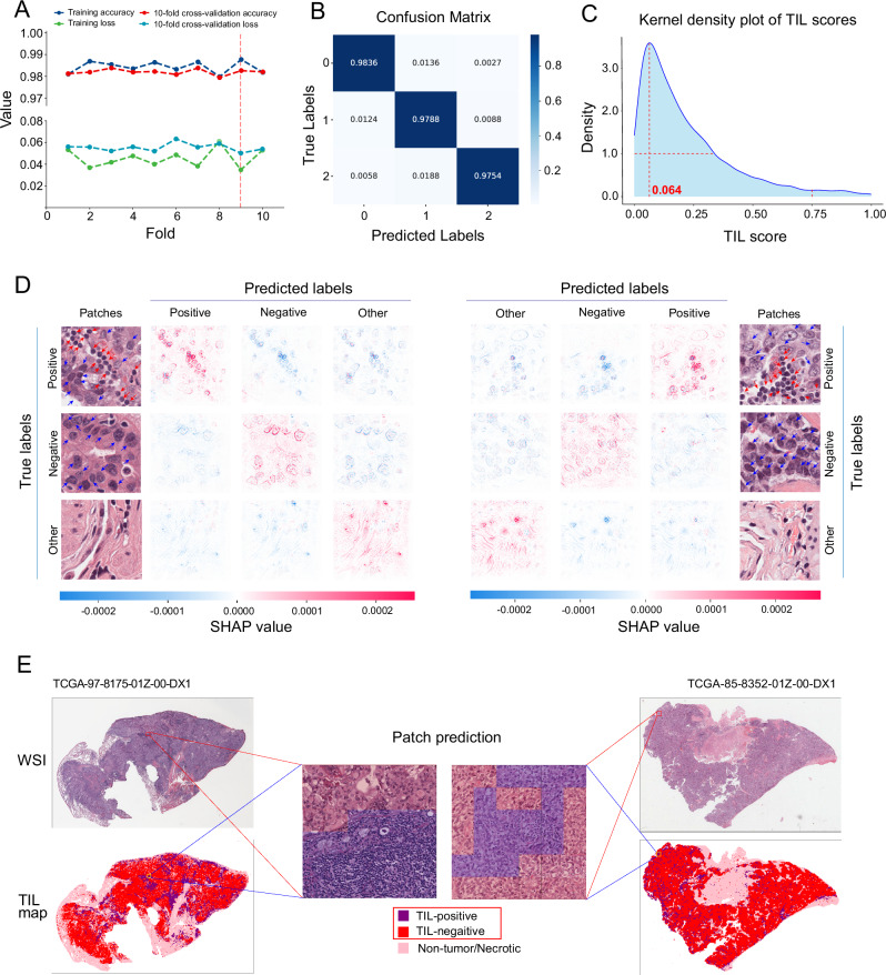 PMC11923303 – Fig2
