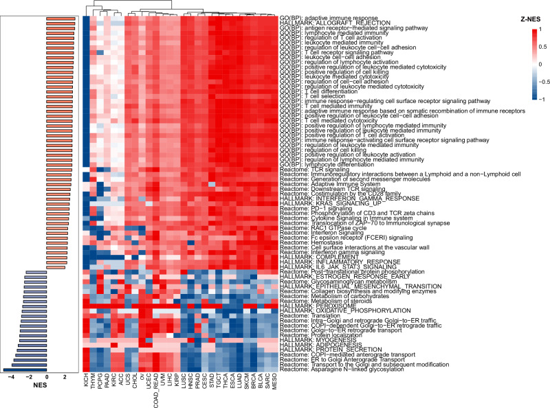 PMC11923303 – Fig4