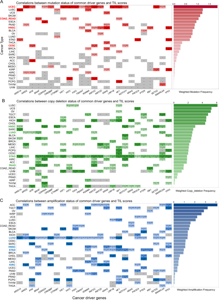 PMC11923303 – Fig5