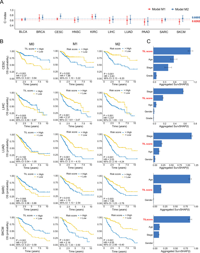 PMC11923303 – Fig6