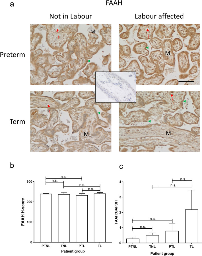 PMC10700443 – Fig5