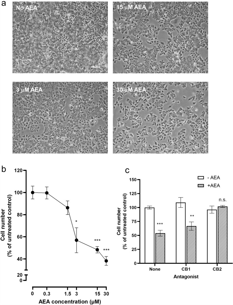 PMC10700443 – Fig7