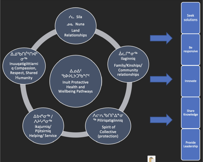 PMC11133288 – Fig2