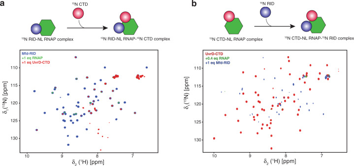 PMC7585439 – Fig6