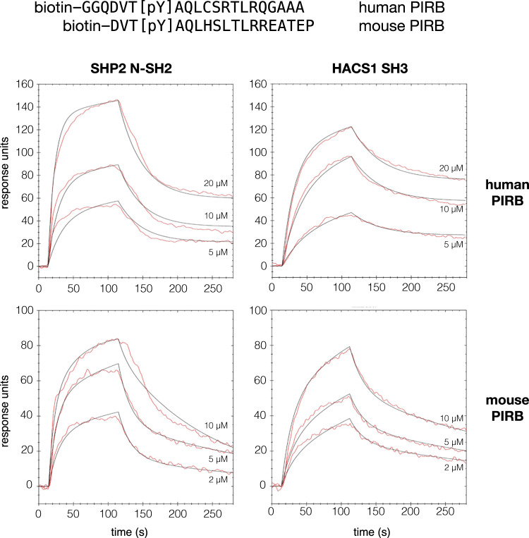 PMC7666139 – Fig5