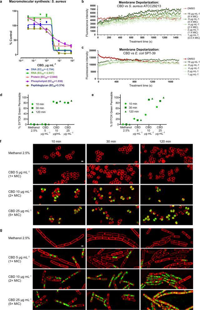 PMC7815910 – Fig4