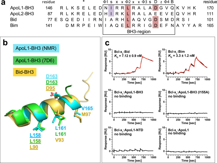 PMC8316464 – Fig6
