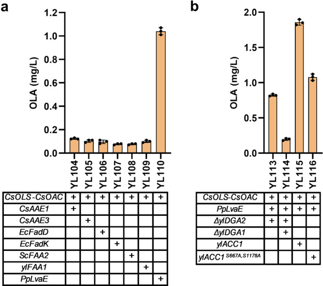PMC9653464 – Fig4