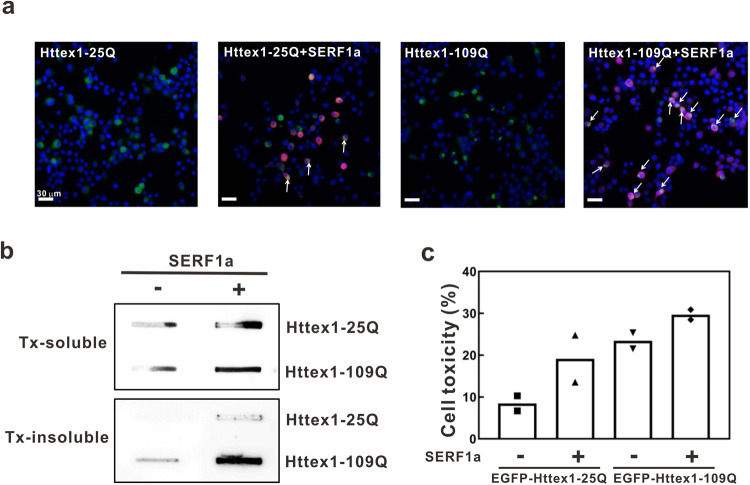 PMC10361993 – Fig6