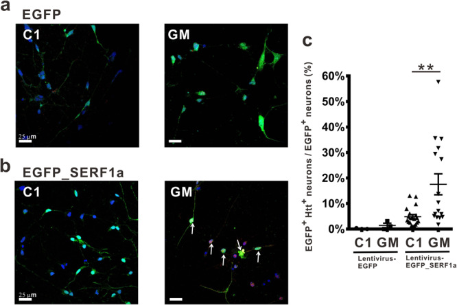 PMC10361993 – Fig7