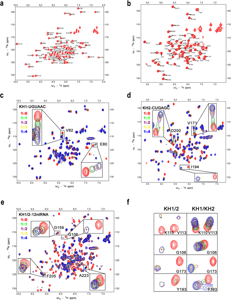 PMC10850505 – Fig2