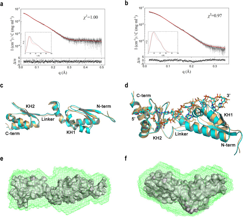 PMC10850505 – Fig4