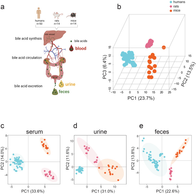 PMC11130135 – Fig1