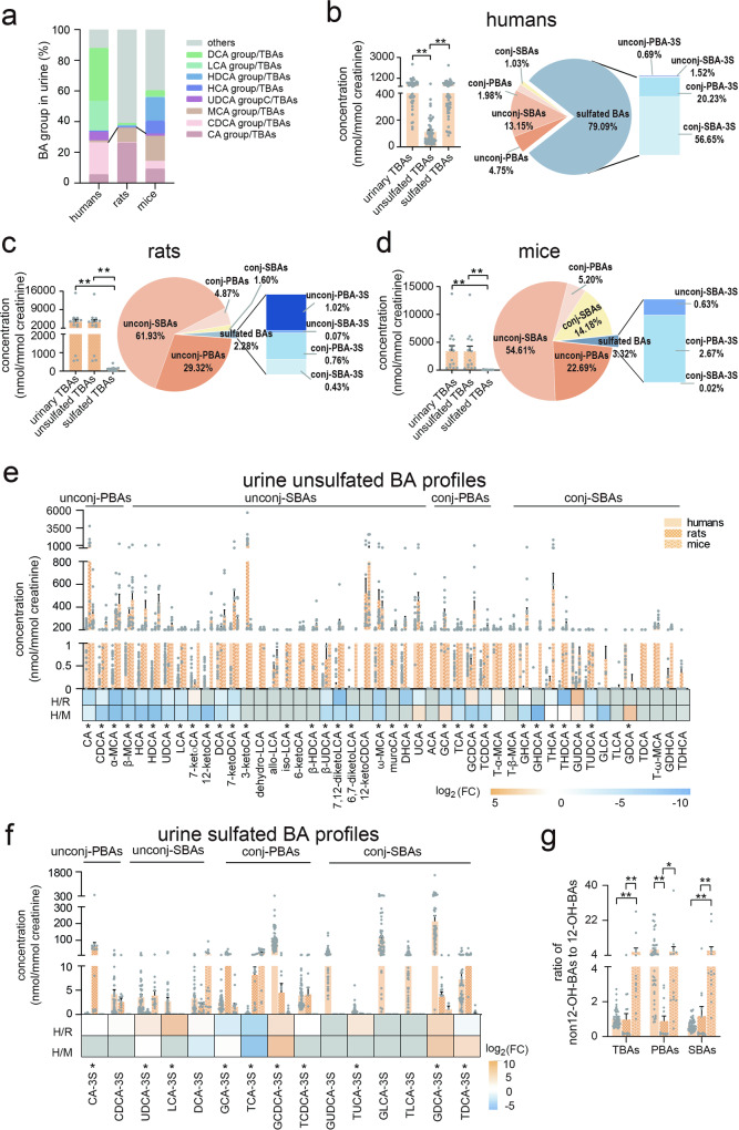 PMC11130135 – Fig3