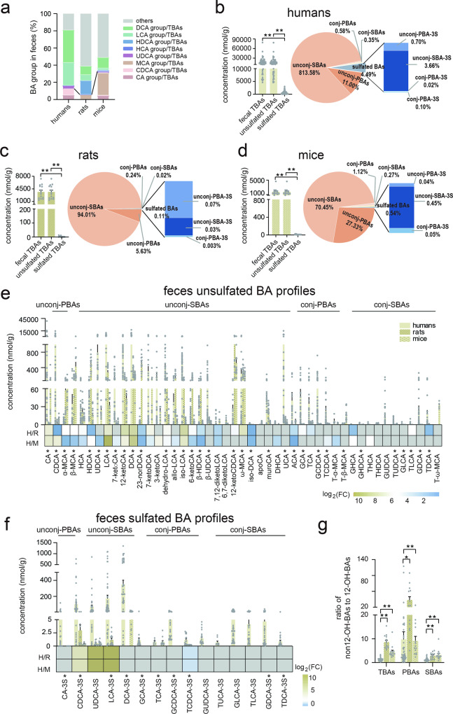 PMC11130135 – Fig4