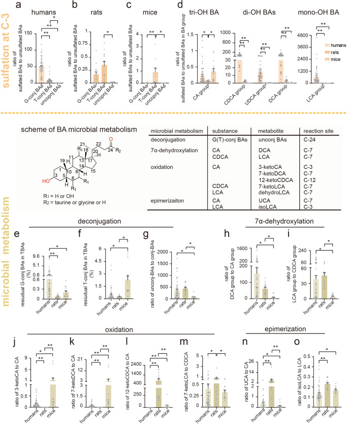 PMC11130135 – Fig5