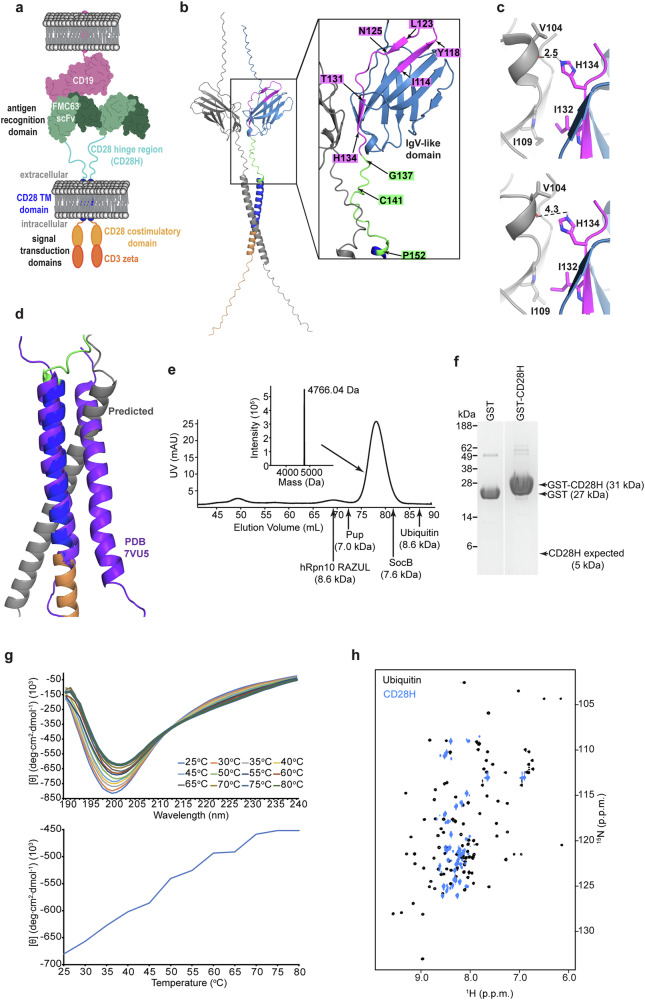 PMC11365992 – Fig1