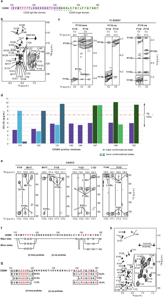 PMC11365992 – Fig2