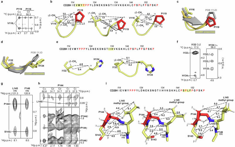 PMC11365992 – Fig5