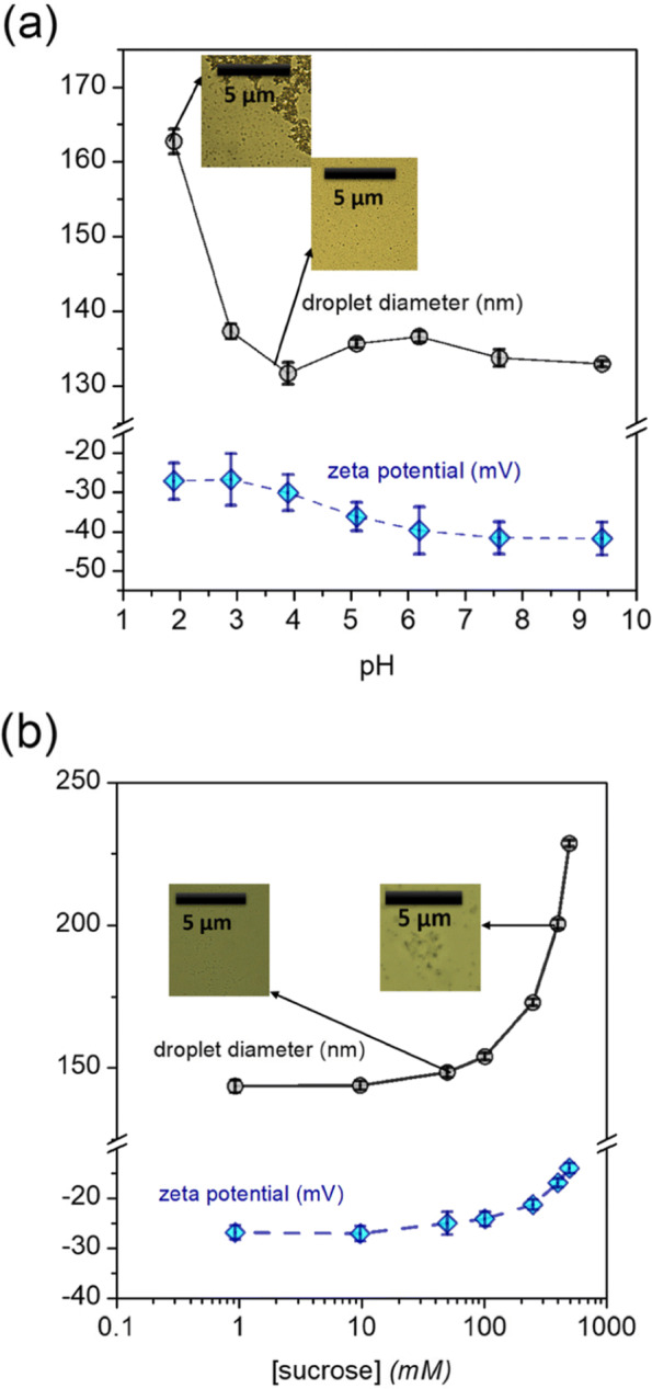 PMC8461879 – Fig8