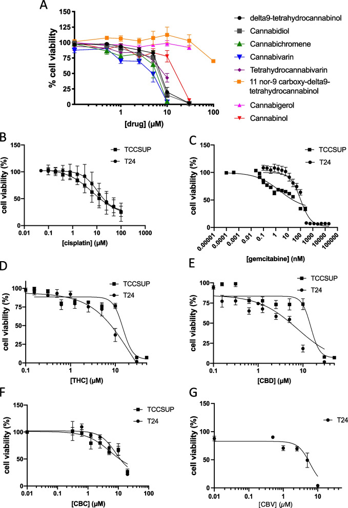 PMC9985258 – Fig1
