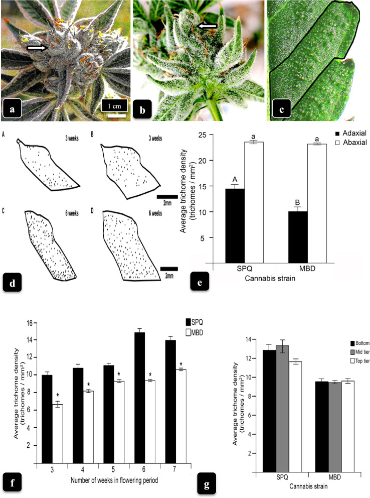 PMC10071647 – Fig5
