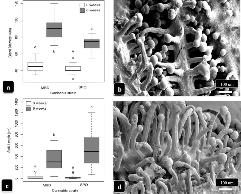 PMC10071647 – Fig6
