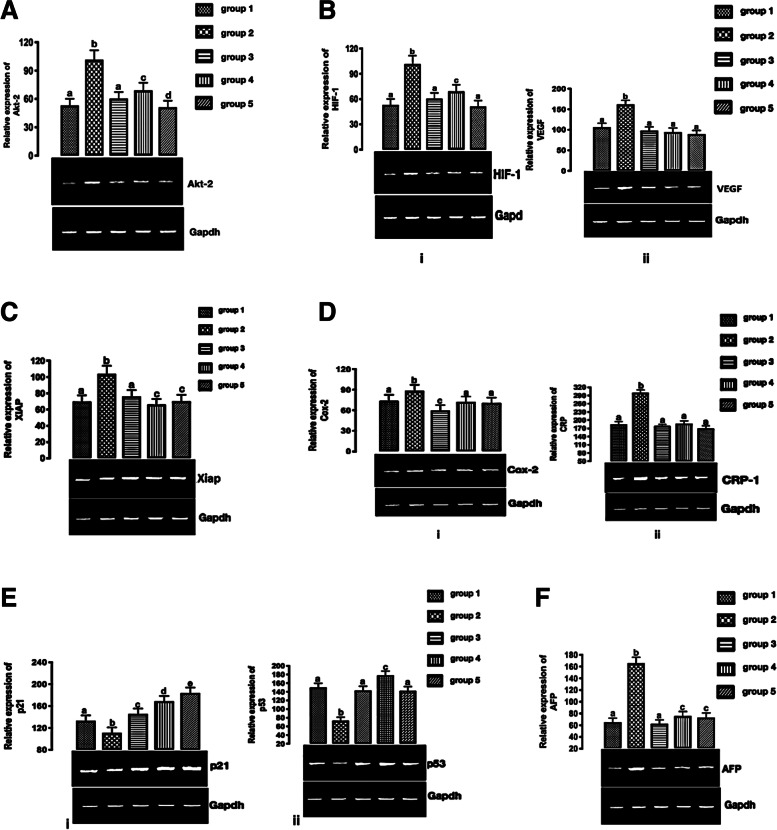 PMC10337064 – Fig4