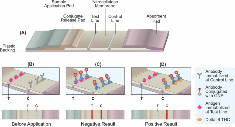 PMC10898188 – Fig2