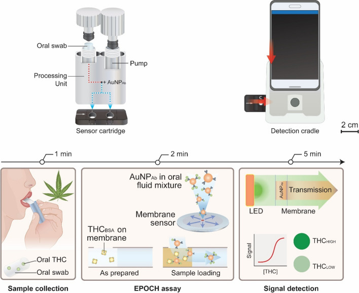 PMC10898188 – Fig3