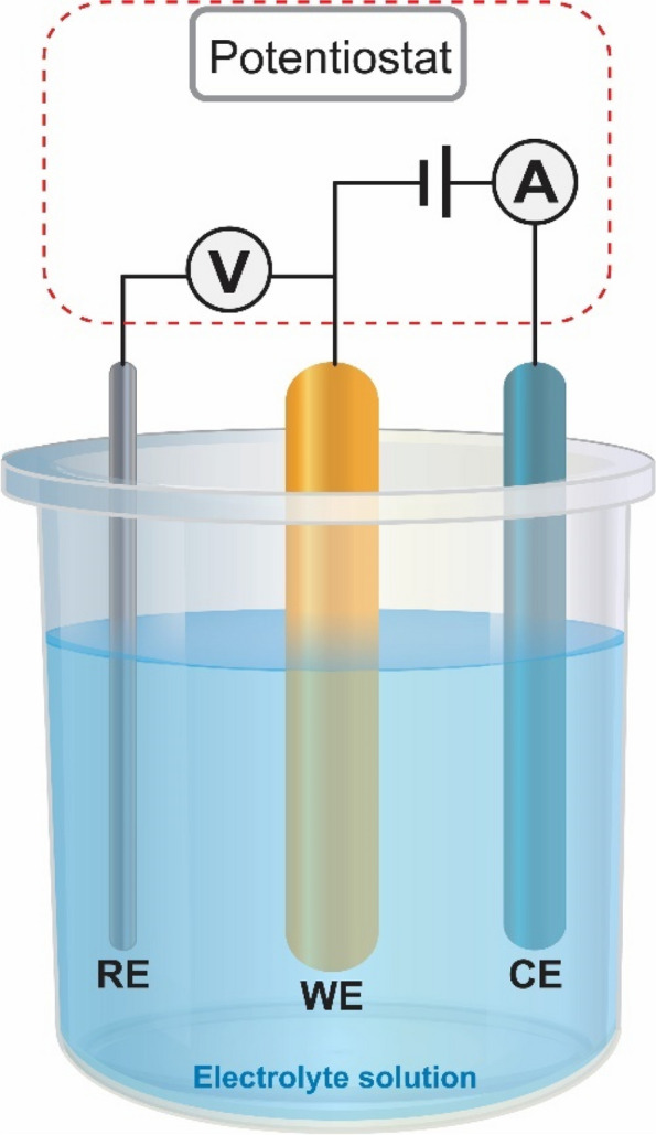 PMC10898188 – Fig4
