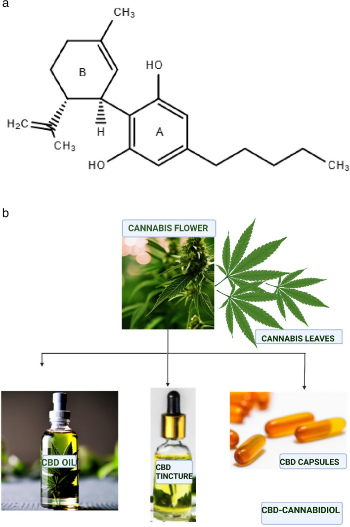 PMC10946130 – Fig1