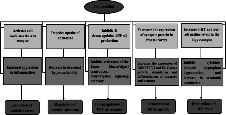 PMC10946130 – Fig4
