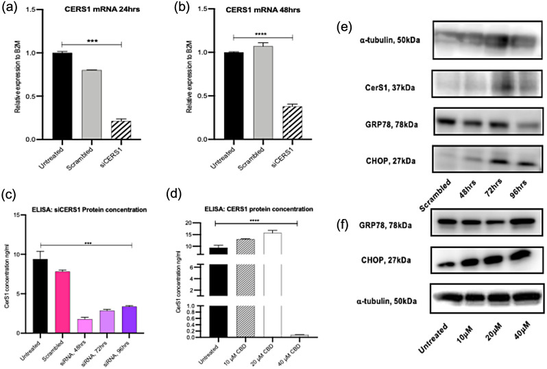 PMC11077855 – Fig4