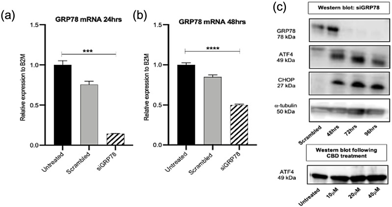 PMC11077855 – Fig5