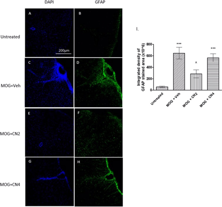 PMC11110427 – Fig7