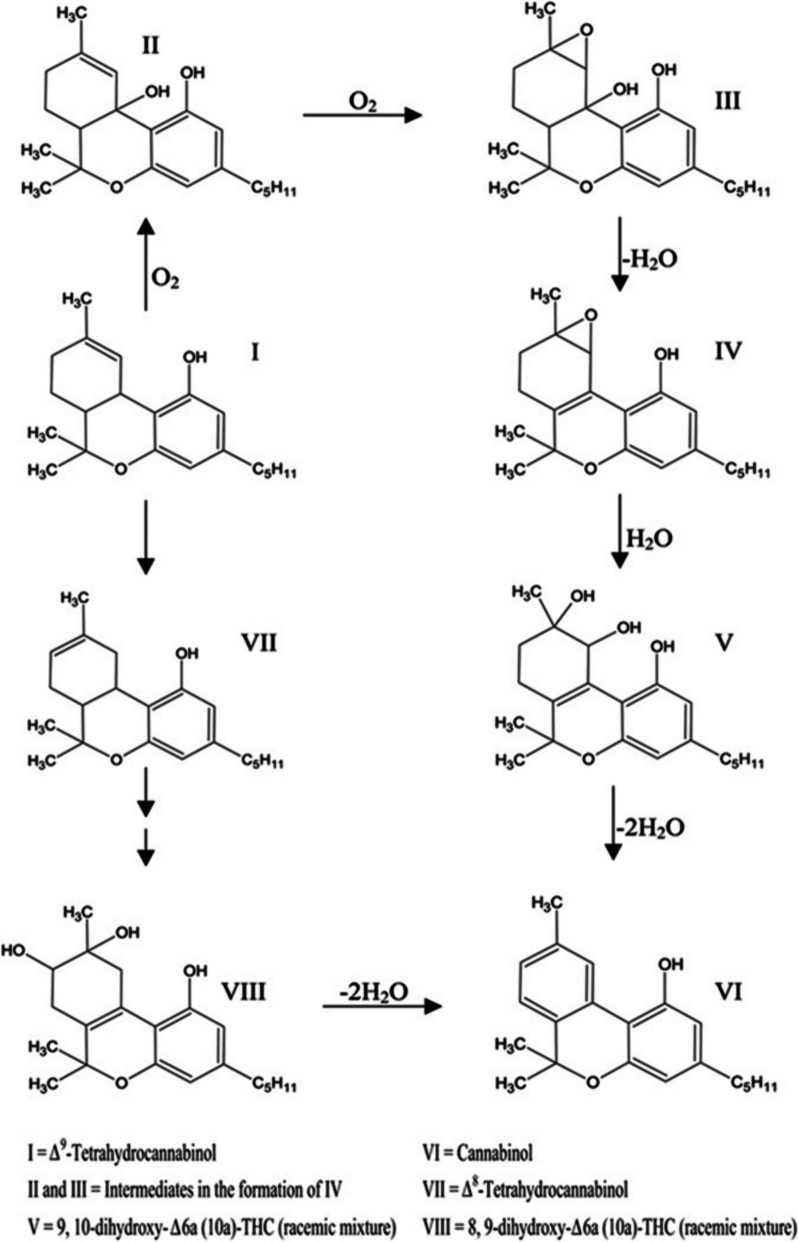 PMC11809059 – Fig11