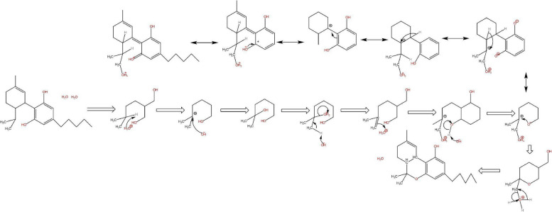 PMC11809059 – Fig8
